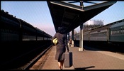Marnie (1964)Tippi Hedren, handbag, railway, train and yellow